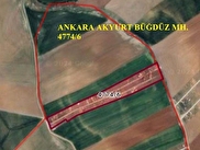 Akyurt Büğdüz Satılık