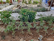 Kemalpaşa Yukarıkızılca Merkez Satılık