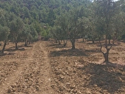 Pamukkale Haytabey Satılık