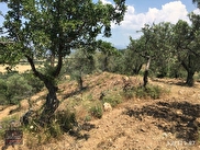 Burhaniye Şahinler Satılık