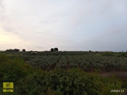 Menderes Bulgurca Satılık