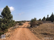 Çamlıyayla Sarıkavak Satılık