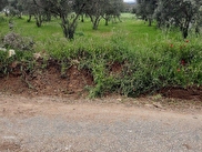 Menteşe Yenice Satılık