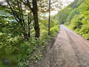 Maçka Şimşirli Satılık