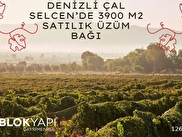 Çal Selcen Satılık