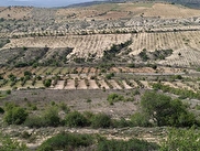 Şahinbey Cevizli Satılık