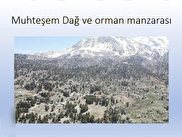 Konyaaltı Geyikbayırı Satılık