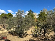 Edremit Hacıarslanlar Satılık