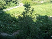 Eyüpsultan Mimar Sinan Satılık 2380 m² Arsa