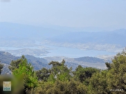 Çine Alabayır Satılık