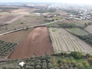 Bandırma Yeşilçomlu Satılık