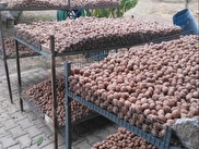 Sivaslı Yayalar (Bahçelievler) Satılık
