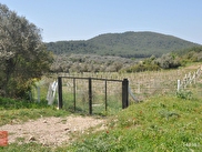 Kuşadası Kirazlı Satılık