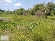 Adapazarı Salmanlı Satılık