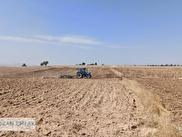 Sivaslı Akarca Satılık