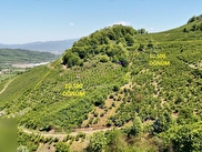 Gümüşova Dereköy Satılık