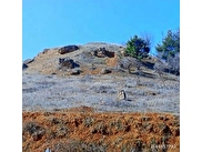 Çal Hançalar Sahibinden Satılık
