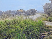 Merkez Seyit Satılık