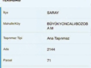 Saray Bozoba Satılık