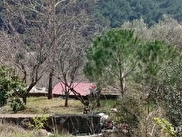 Bornova Karaçam Satılık