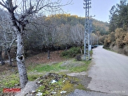 Merkez Kapullu Satılık
