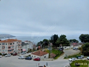 Merkez Gelincik Satılık