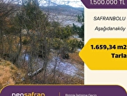 Safranbolu Aşağıdana (Aşağıdana) Satılık