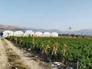 Duden Mh Satilik Arsa Tarla Bahce Fiyatlari Ilanlari Hurriyet Emlak