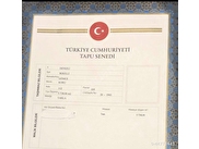 Bekilli Gömce Sahibinden Satılık