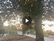 Karasu Resuller Satılık