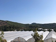 Bozyazı Çubukkoyağı Satılık