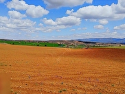 Sivaslı Kökez Satılık
