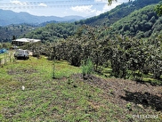 Merkez Camili (Camiyanı) Sahibinden Satılık