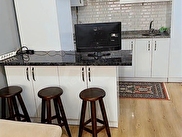 Merkez Atatürk Satılık