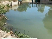 Selçuklu Küçükmuhsine Satılık