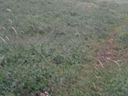 Bursa Keles Satilik Tarla Ilanlari Ve Fiyatlari