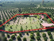 Köyceğiz Zaferler Satılık
