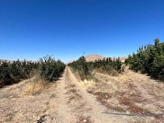 Ulukışla Yeniyıldız Satılık