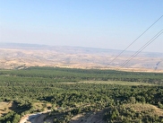 Sehitali Mh Emlakcidan Satilik Tarla Fiyatlari Ilanlari Hurriyet Emlak