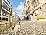 Edremit Altınkum Satılık 1+1 Daire