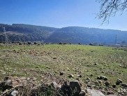 Bornova Karaçam Satılık