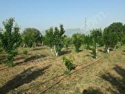 Joga428ajlqvm