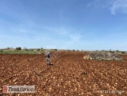 https www hurriyetemlak com mardin satilik bankadan tarla