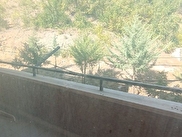 Merkez Şeyhcui Satılık