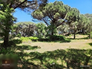 Bergama Yukarıbey Satılık