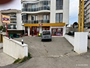 Merkez Zeytinlik Satılık