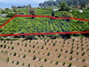 Köyceğiz Sultaniye Satılık