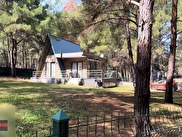 Urla Zeytinler Satılık