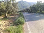 Bursa Arsa Tarla Bahce Fiyatlari Ilanlari Hurriyet Emlak