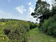 Köyceğiz Döğüşbelen Satılık